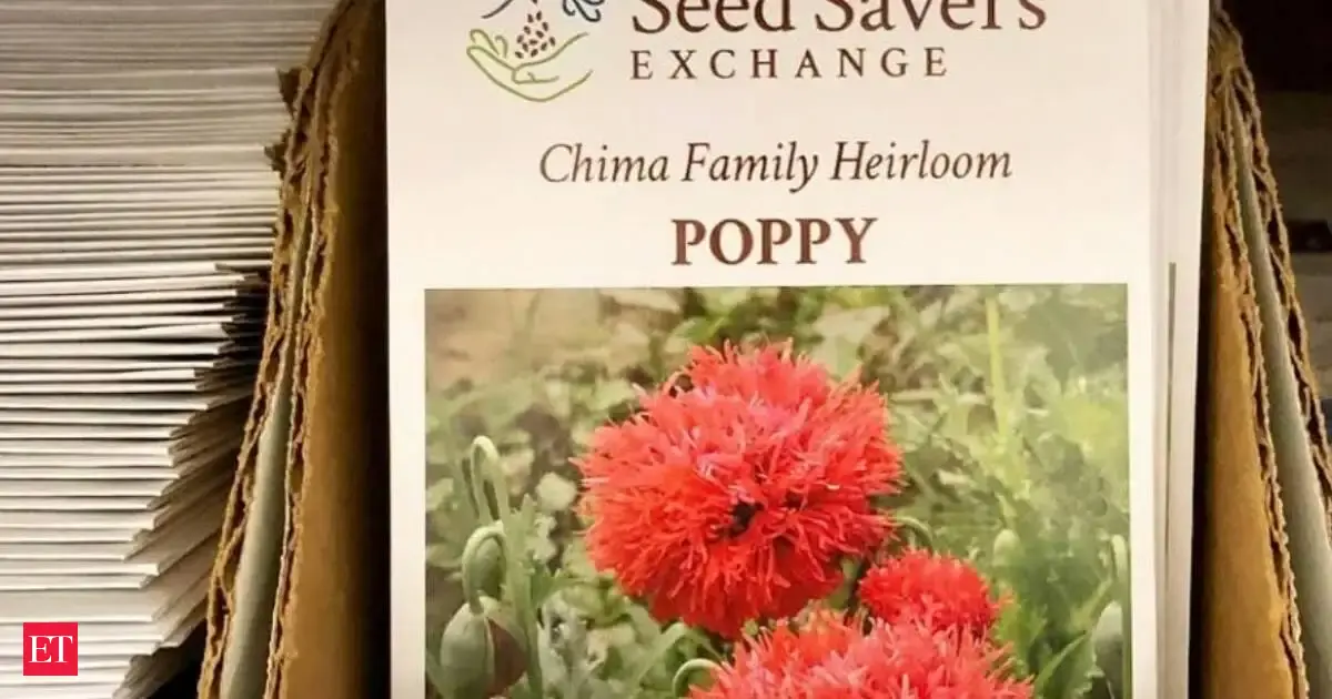 Valeria Dukelow began saving her mother’s red poppy seeds in Pittsburgh in the 1960s; more than 50 years later, gardeners were still growing the same family flowers
