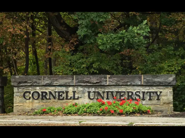 Cornell University rape case victim alleges some who violated her were ...
