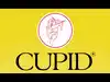 Cupid shares end 10% higher ahead of Nifty Smallcap 250 inclusion tomorrow. How much inflows can it see?