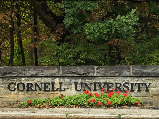 Cornell University gang rape