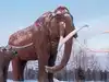 Why bringing back the woolly mammoth isn’t a simple cloning job — scientists are solving a massive genetic engineering puzzle