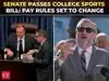 'Protect College Sports': GOP celebrate 77-22 Senate vote as major NIL, transfer rule heads to House