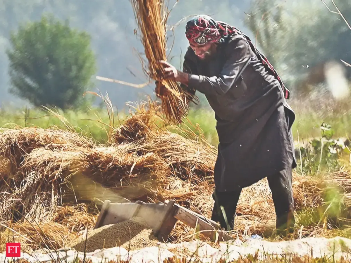 India cuts foodgrain output target citing El Niño impact