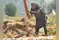 Image for Foodgrain output target cut over El Nino impact