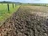 12% deficit: Rain report gives a dry reading