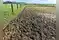 Image for 12% deficit: Rain report gives a dry reading