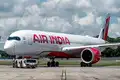 Image for Beyond Tata brand: Air India&rsquo;s Rs10,000 cr funding