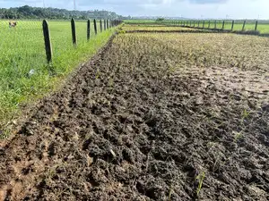 rain deficit