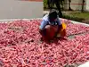 Supreme Court rules out blanket ban on fireworks in Delhi; bats for time-bound use