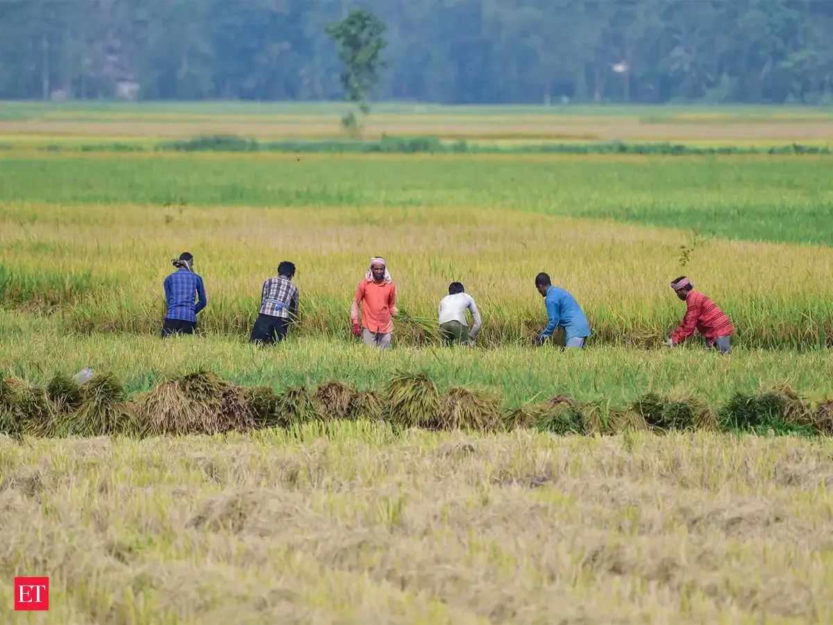 India's monsoon deficit widens to 12% as El Niño strengthens