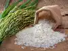 India's rice industry looks beyond grain for next billion-dollar opportunity