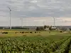 In 1999, 17 wind turbines went up on a Minnesota soybean-and-cattle farm; farming continued as turbine leases provided additional income