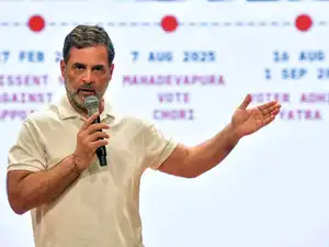 "Against social justice, equality": Rahul Gandhi alleges Centre targeted Ambedkar, Phule writings after ‘internet troll’ post