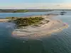 In 2018, South Carolina pumped 40,000 cubic yards of river sand onto an eroding bird island; enough to fill about 4,000 dump trucks and restore lost nesting ground
