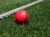 ICC allows pink ball usage in day-time Tests on trial basis