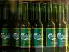Carlsberg India IPO gets Sebi approval along with three other public offers. Check details