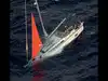 Who were the sailors who survived 18 hours after sperm whales sank their yacht