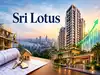 Sri Lotus shares rally 29% in a month. Can luxury and redevelopment sustain the momentum?