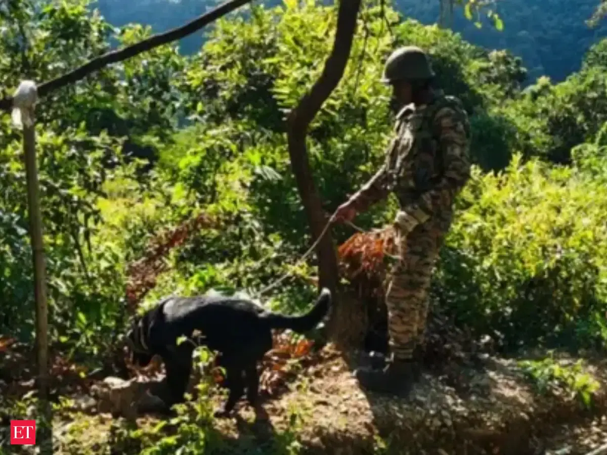 Manipur Cabinet increases ex-gratia for Army, CAPF, and families of missing persons amid ongoing violence