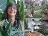 Washington DC homeowner was in a hurry to turn corner lot into wildlife garden. She shares three lessons what went wrong