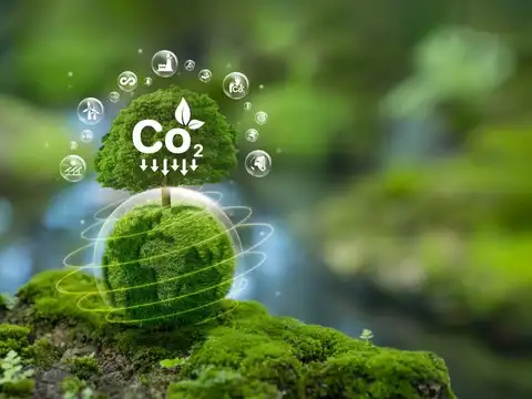 What About Emissions