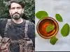 Ayurvedic honey remedy to heal wounds: Top Pakistani terrorist 'Hashim Moosa' used this method to treat bullet injuries while hiding in J&K forests