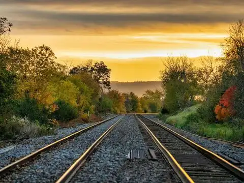Researchers compared plastic sleepers with timber