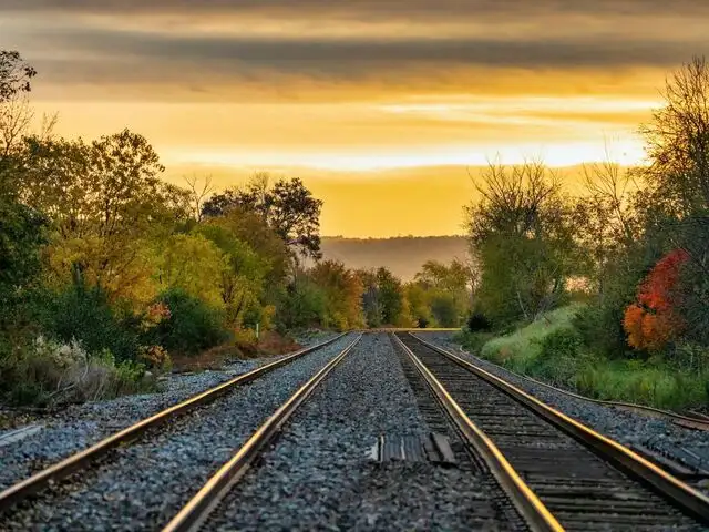 Researchers compared plastic sleepers with timber