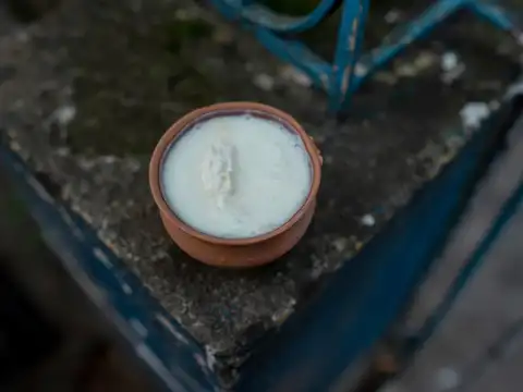 Curd