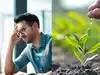 Techie starts growing moringa and vegetables on balcony after high BP due to job, develops a passion for farming, quits Rs 1 lakh per month IT job and builds organic farming business with Rs 30 lakh turnover