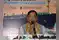 Image for SCI to help India achieve ambition of becoming top shipping 