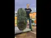 Maine woman grows record-breaking 170-pound zucchini, breaks North American and US records after 162-pound giant was disqualified over tiny split