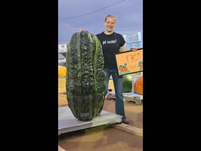 Maine woman zucchini