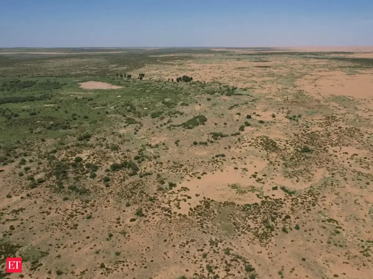 China: China planted 66 Billion trees to fight desert expansion, and a ...