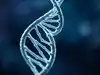 This brain gene can move through human DNA — and scientists found it inside a virus