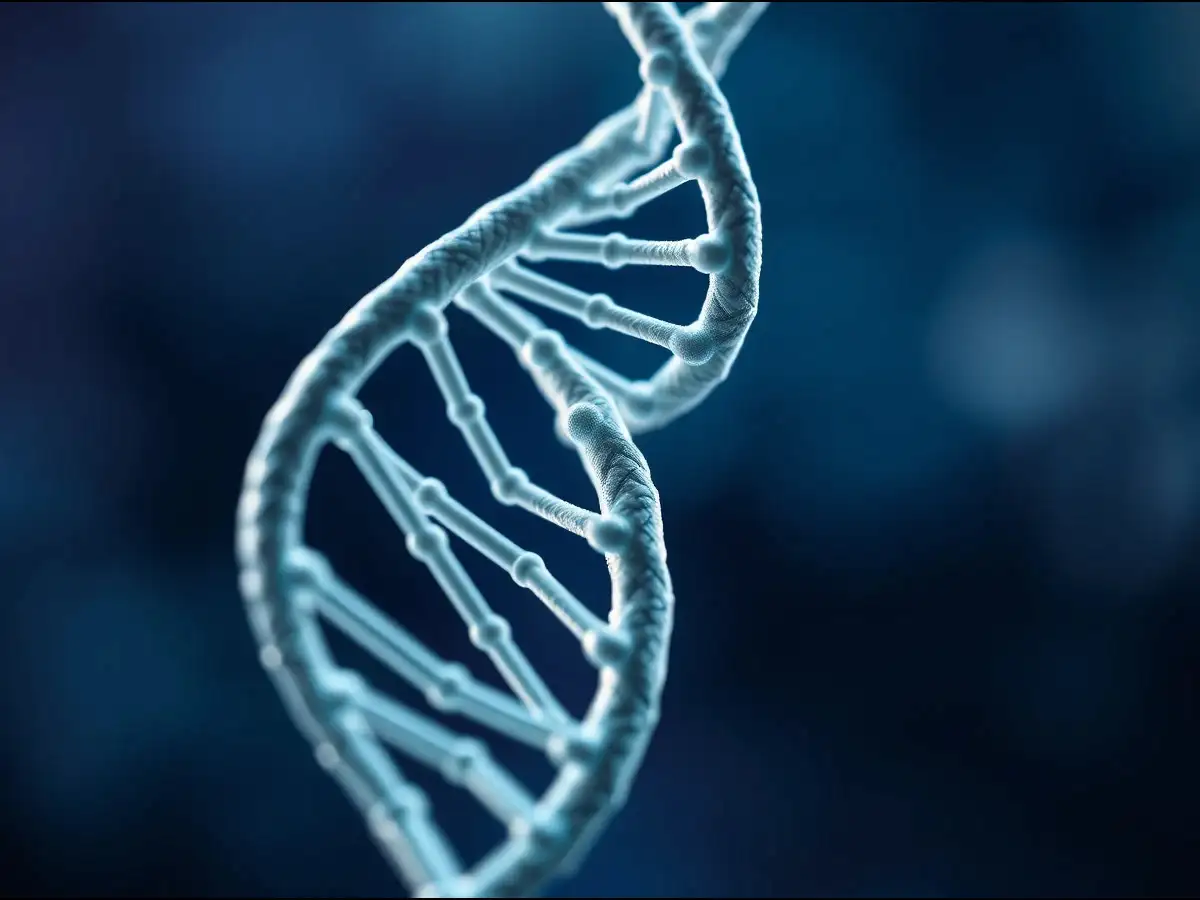BC200 Brain Gene Retains Ancient Ability to Jump Through DNA
