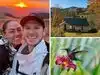yorkshire wildlife park tiger attack: Latest News & Videos, Photos ...