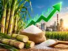 Sugar stocks Balrampur Chini, Dhampur Sugar, others rally up to 8%. What’s behind the uptick?