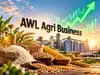 AWL Agri Business shares climb 4% as Q2 revenue rises 24% YoY, Food & FMCG posts record quarterly revenue
