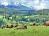 The 113,613-acre Montana landscape where Ted Turner&rsquo;s wild conservation legacy lives on