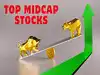 Looking beyond 2026: 5 mid-cap stocks from different sectors with upside potential of up to 22%