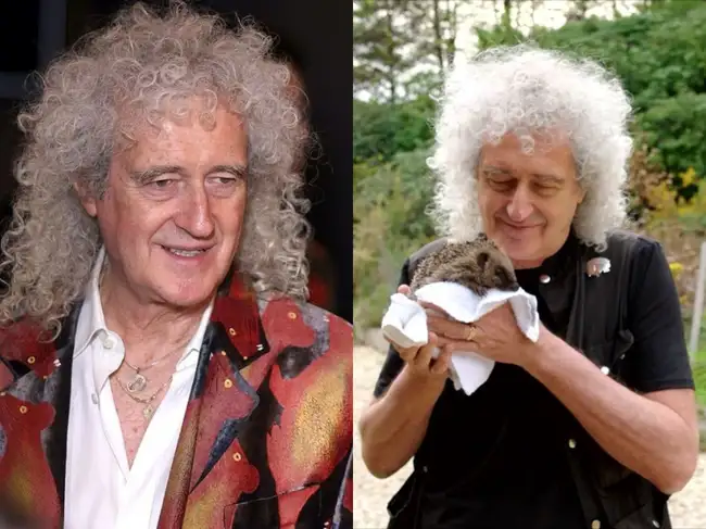 Queen’s Brian May transformed 157 acres of farmland into wildlife ...