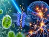 How a single-celled alga helped scientists control brain cells with light &mdash; the discovery behind the 2026 Nobel Prize in Medicine