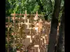 No glue, no rope and no synthetic assembly: Woven Pavilion uses interlocking modules to explore the future of temporary nature-based architecture