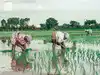 S&P projects 12-14% credit growth this fiscal, warns weak monsoon may hit rural lending