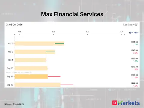 Max Financial Services 