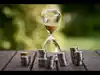 Best mid cap mutual funds to invest in October 2026