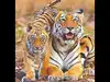Nurturing a tiger economy, literally