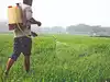 Government to review fixed costs for urea plants, subsidy payouts may change