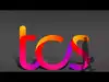 TCS dividend! IT giant declares second interim dividend of Rs 12 per share for FY27